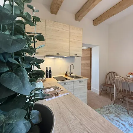 Conti Di San Bonifacio - Tuscan Townhouse شقة فندقية Montemassi